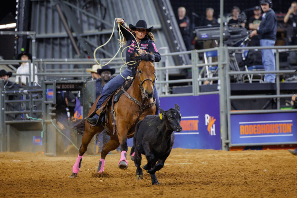 Woman on a brown horse roping a calf 