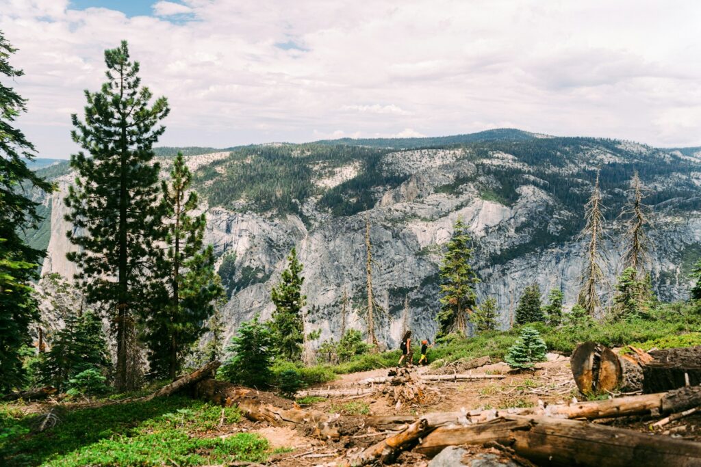 Hikers walking a mountain trail with pine trees in the foreground and mountains in the background