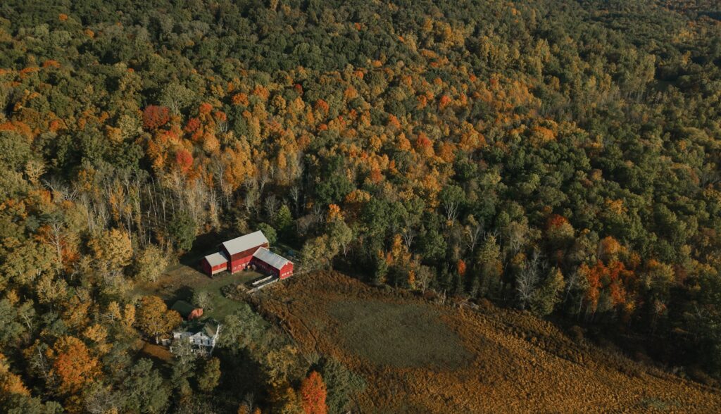 red and white house surrounded by trees during daytime