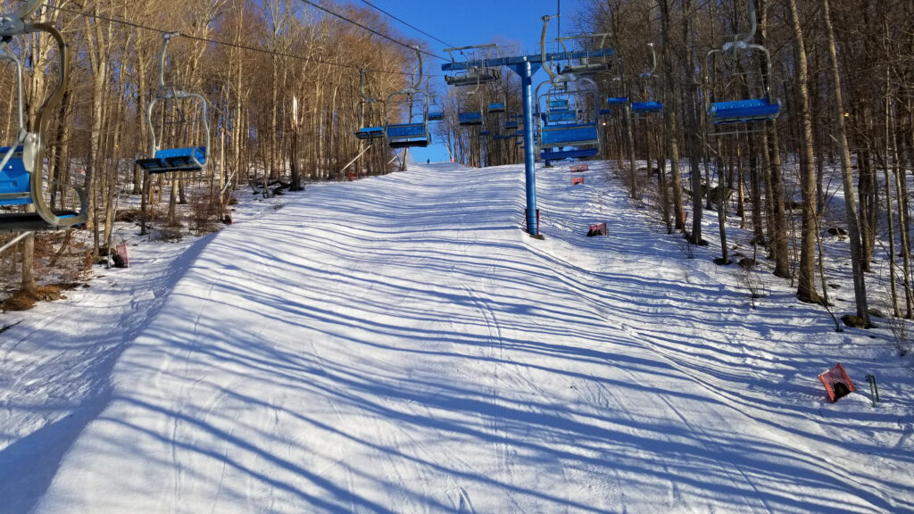 Ski lift between two sets of trees