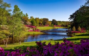 gardens with a body of water, green trees and colorful plants